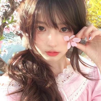 极秘搜查